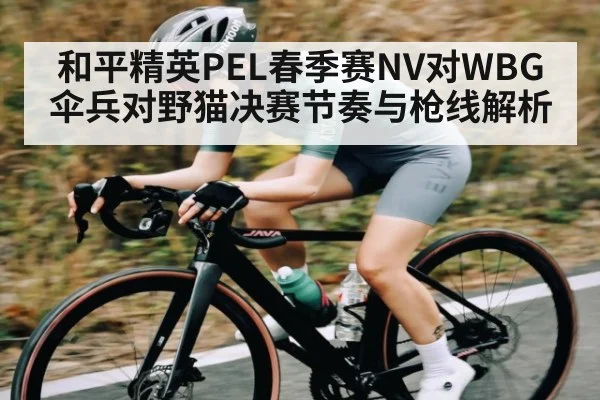 和平精英PEL春季赛NV对WBG伞兵对野猫决赛节奏与枪线解析 | Xingkong yule